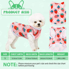 Paterr camiseta para perro con dibujos divertidos, perfecto para paseos