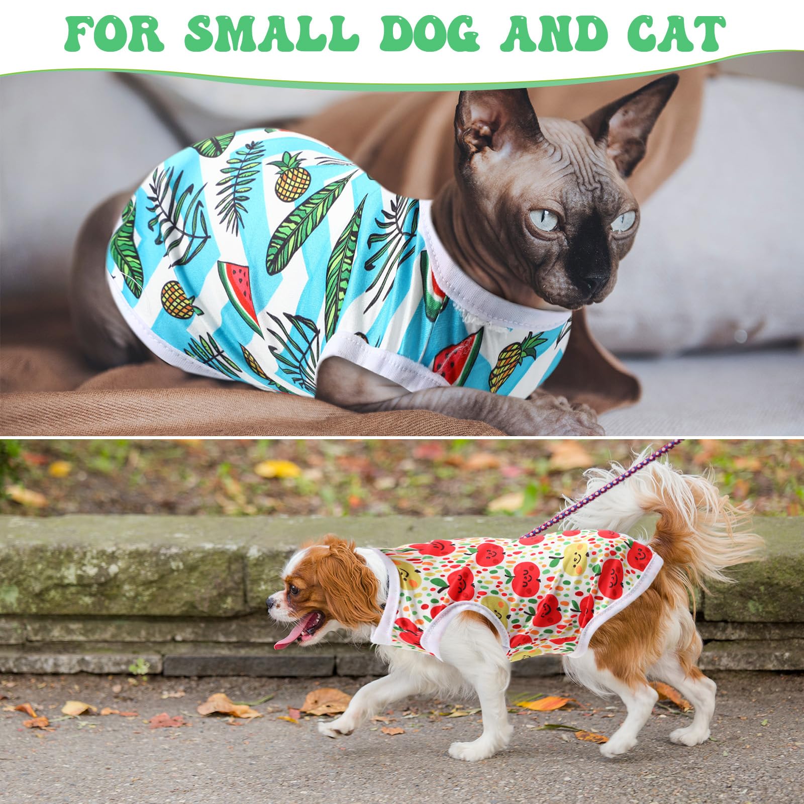 Paterr camiseta para perro, colección de diseños para paseos y casa