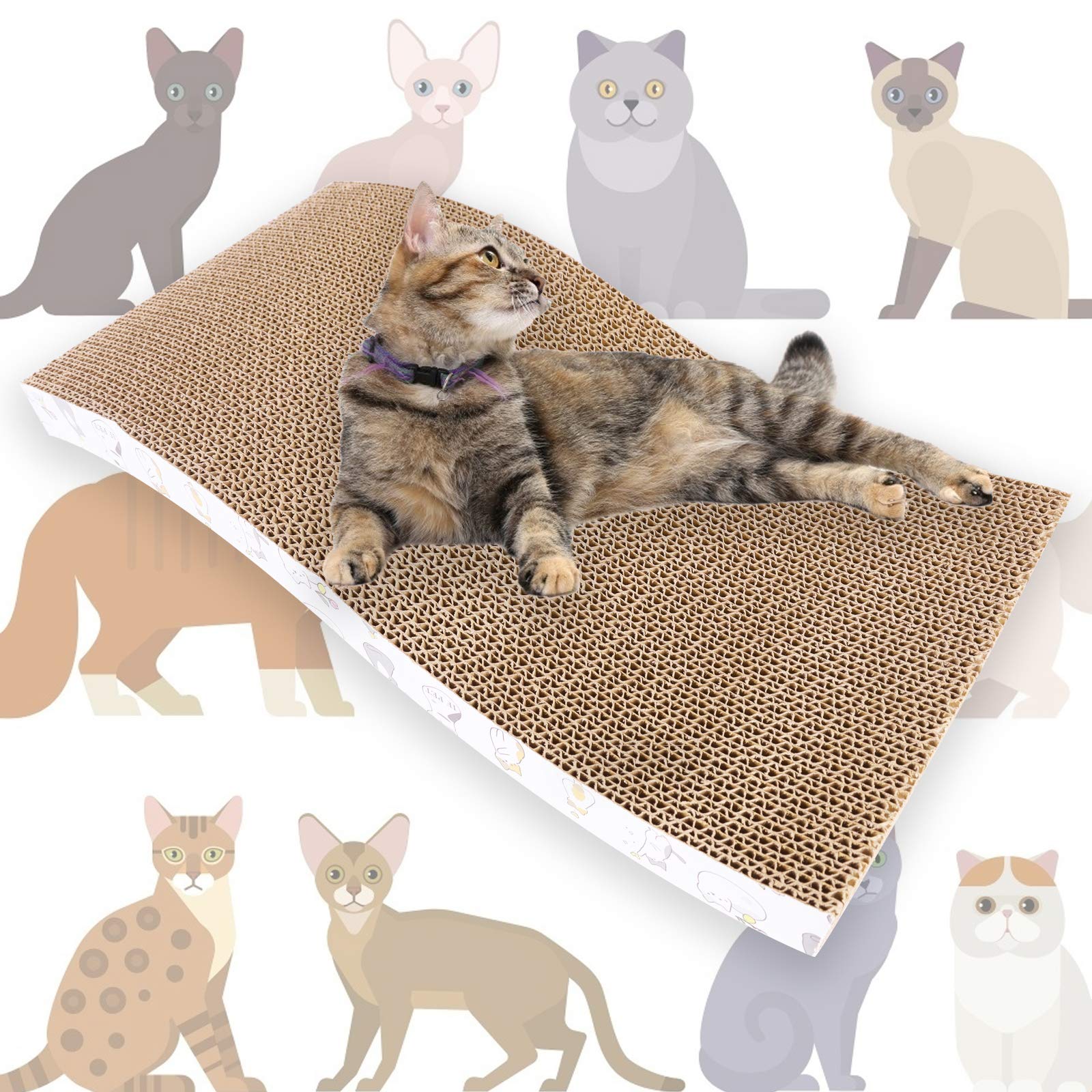 PatiencET hierba para gatos orgánica potencia juego suave