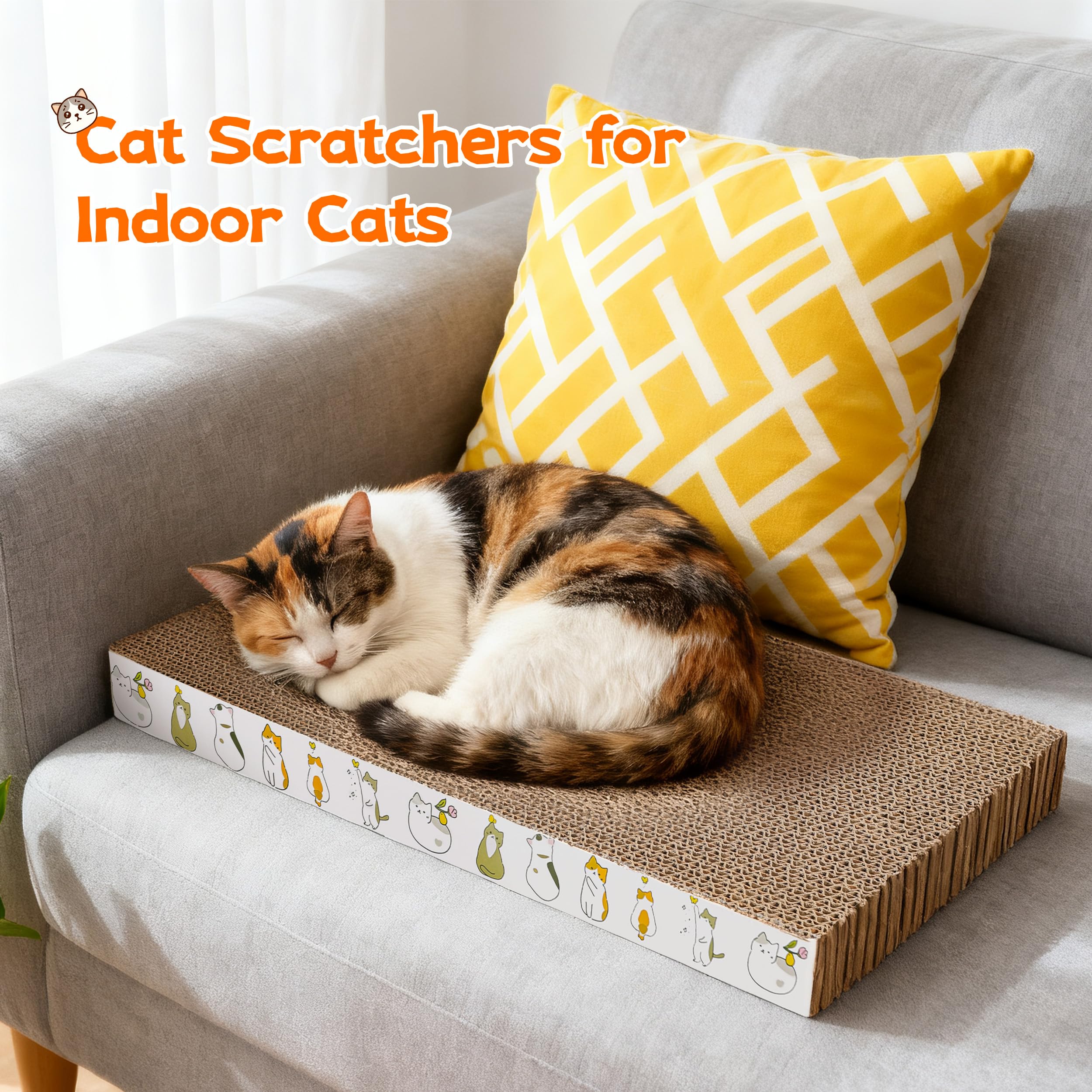 PatiencET tamaño medio, adecuado para gatos pequeños y medianos.