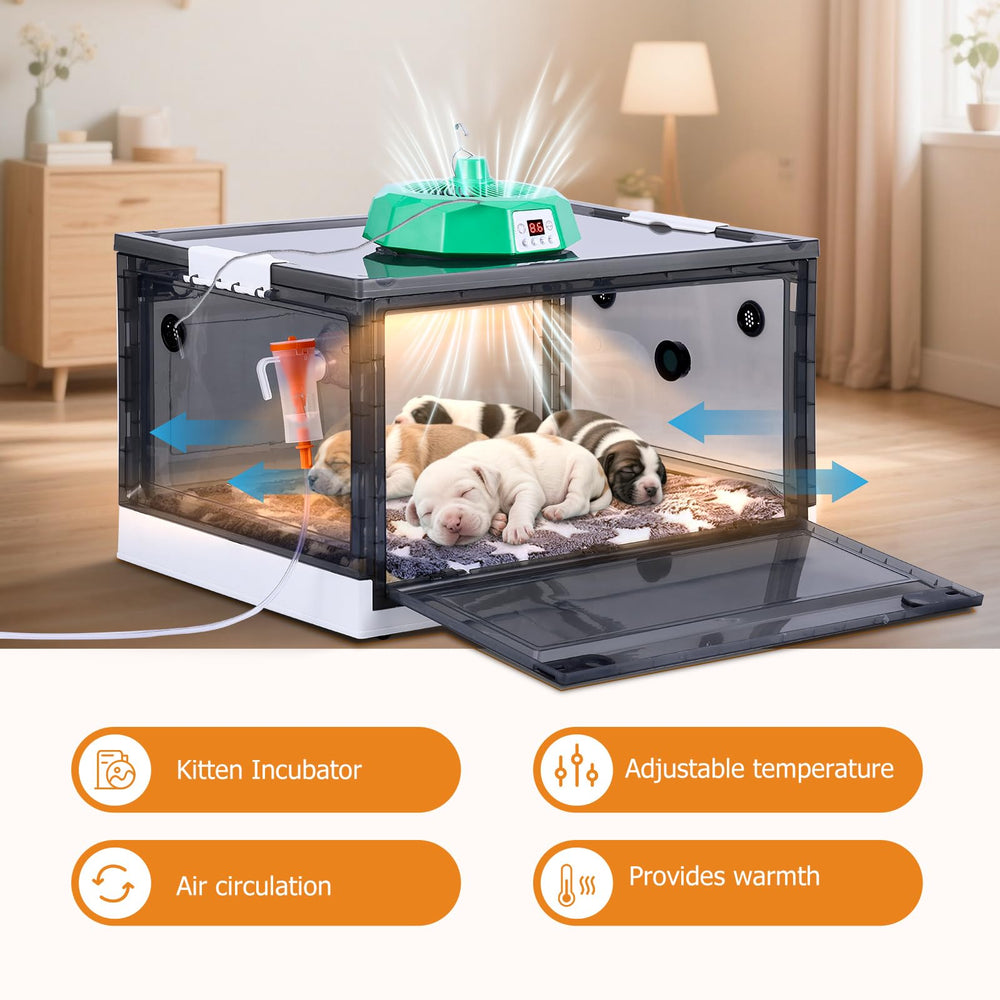PAULOZYN caja transparente para observar cachorros sin perturbación.