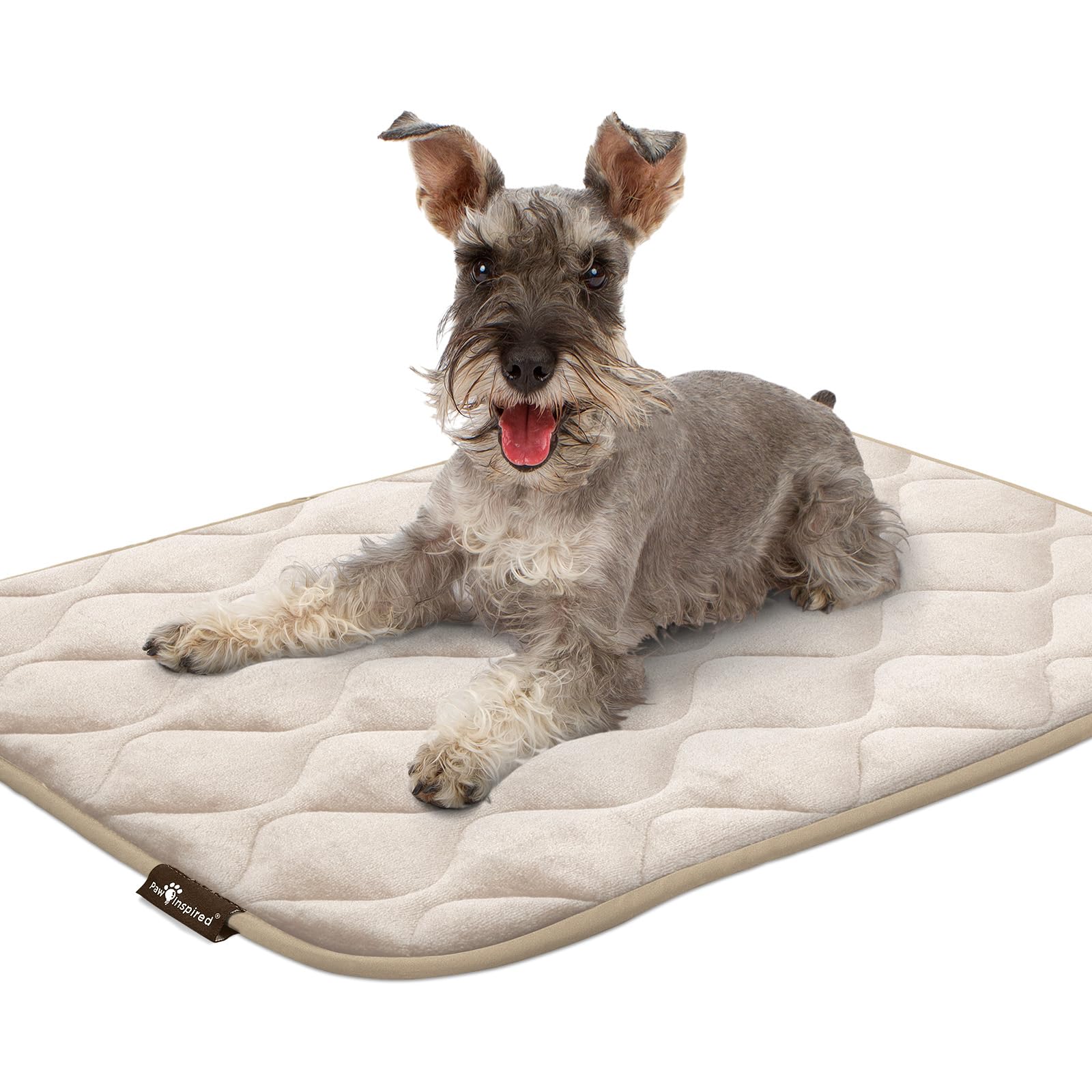 Paw Inspired: acabado tono arena que armoniza con interiores.