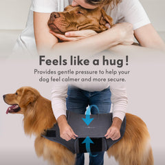 Chaleco Paw Inspired para ansiedad, reflejos visibles para paseos nocturnos seguros.