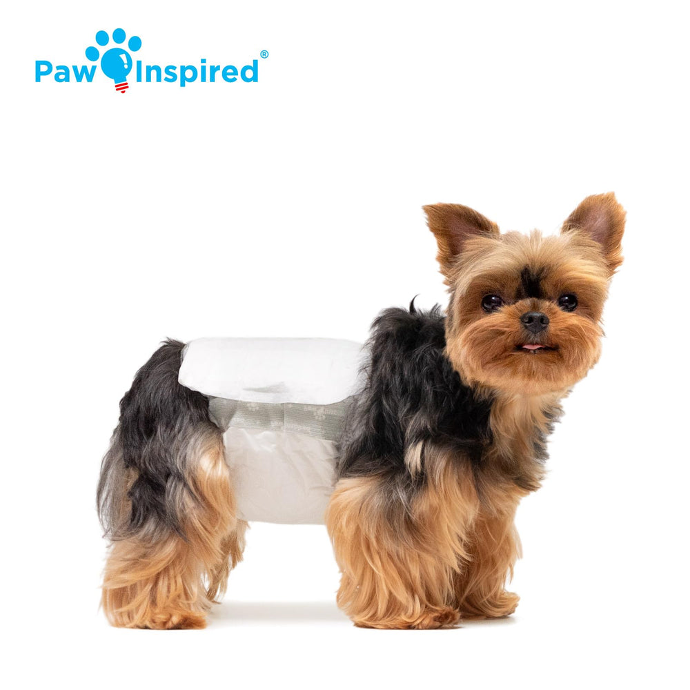 Paw Inspired Cœur ultra-absorbant : protection contre les fuites.
