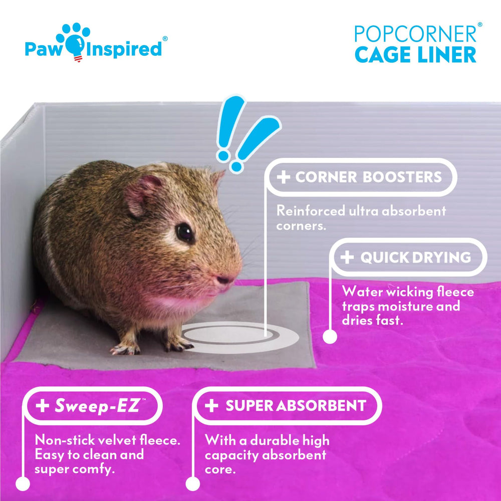 Paw Inspired PopCorner Sweep-EZ facilita barrer-heno y residuos en jaula-conejillo-indias.