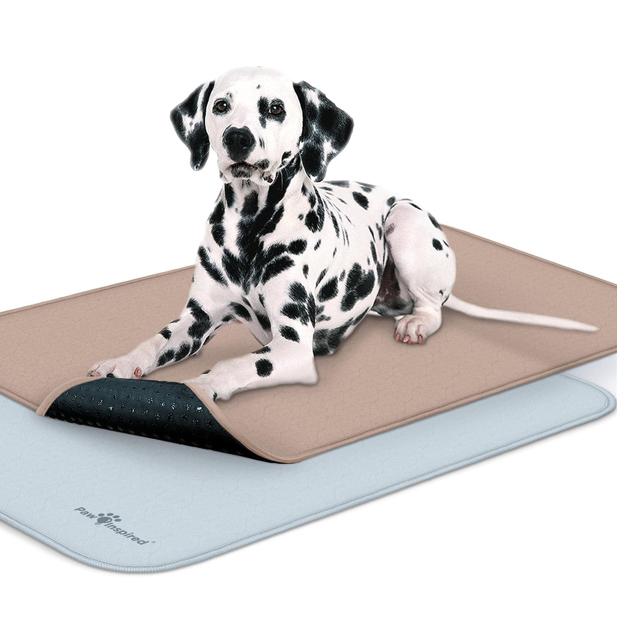 Paw Inspired recubrimiento lavable para jaula de perros 42 pulgadas, mantiene limpieza y confort.
