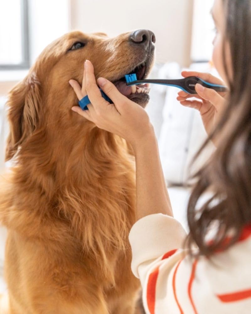 Paw Ready cuidado dental efectivo apoyo para una rutina de higiene bucal constante.