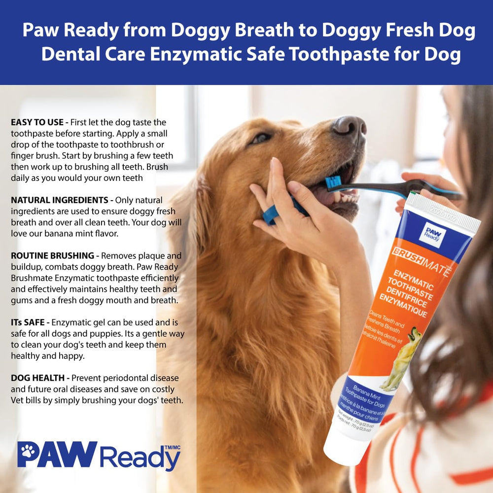 Paw Ready presenta la pasta dental en empaque listo para usar.