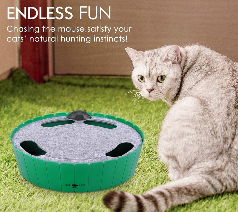 Pawaboo: juguete automático para gatos, ideal para interiores y juego activo.