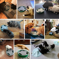 Pawaboo teaser eléctrico para gatos mantiene activo al felino
