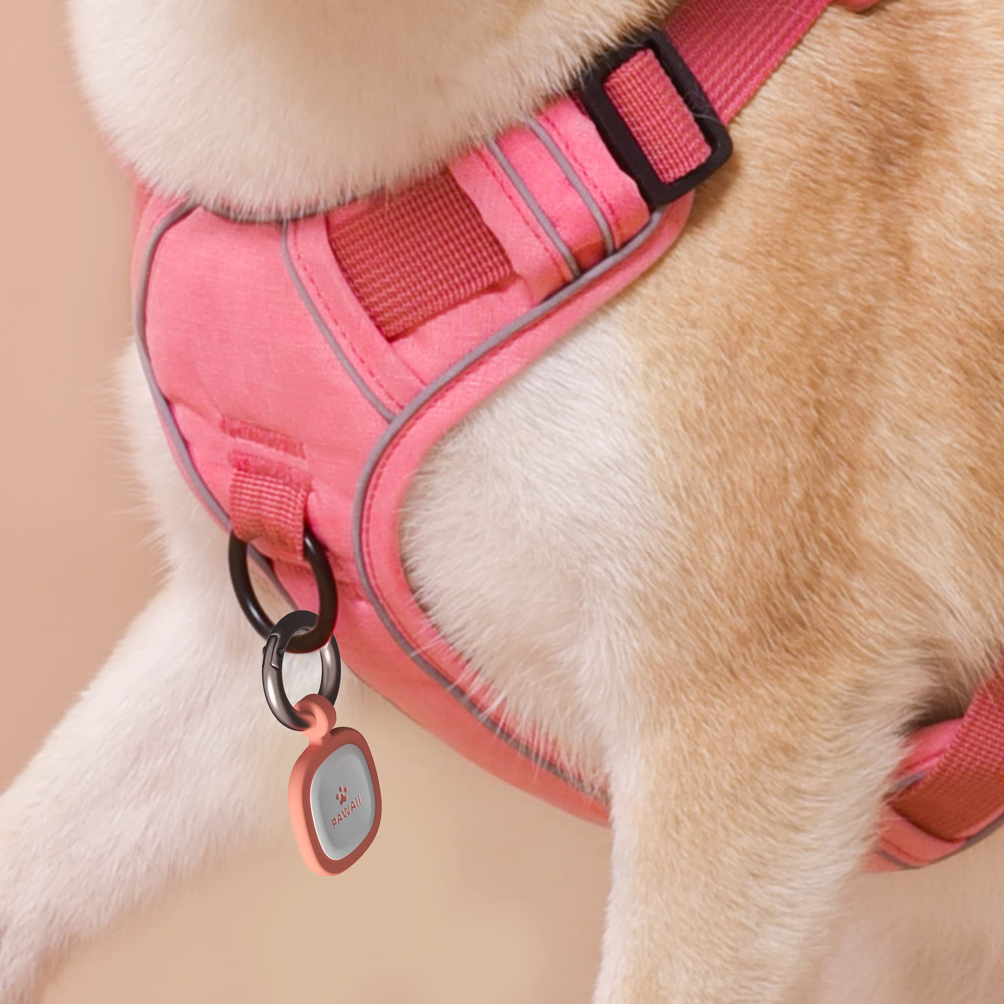 Design coloré Pawaii pour chien et chat, style identifiable et pratique.