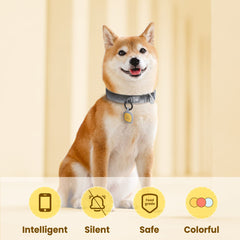 Pawaii étiquette QR chien, profil en ligne accessible au premier scan.