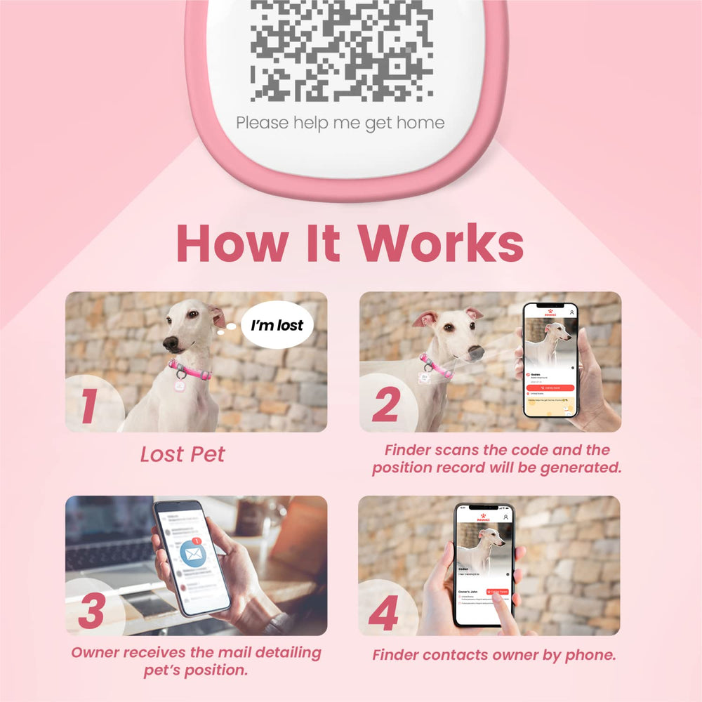 Profil en ligne ajustable de Pawaii, informations essentielles visibles