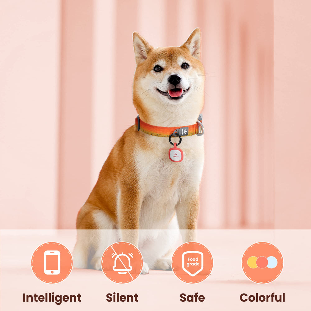 Étiquette silicone silencieuse Pawaii, pour chien et sans bruit lors des déplacements.