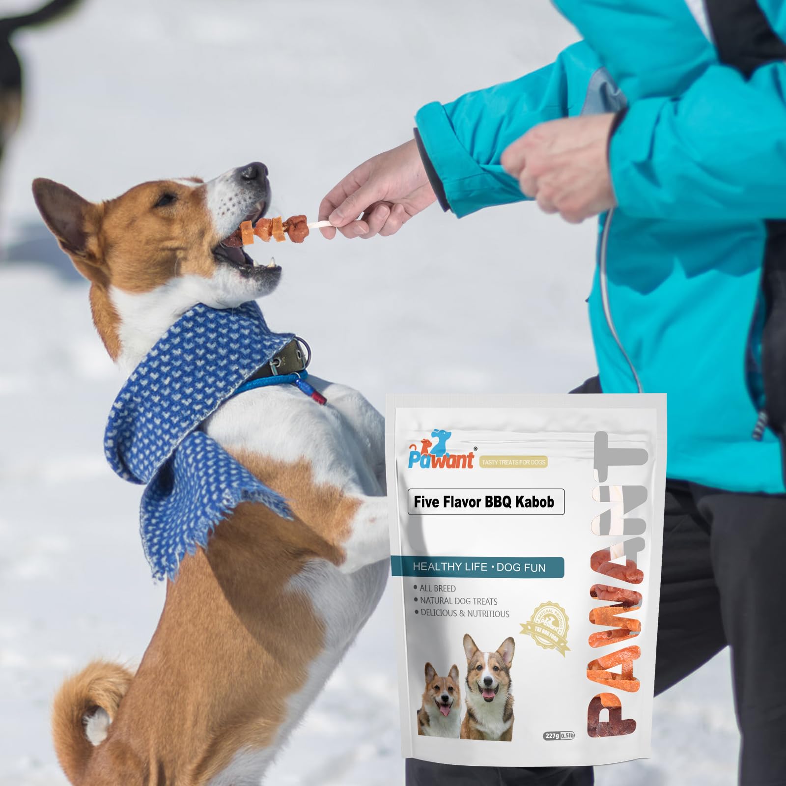 Pawant brochetas multi-sabor: recompensa ideal para entrenamiento.