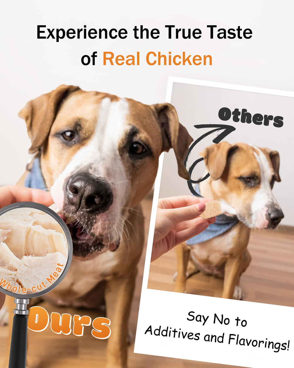 Apto para gatos y perros de todas las edades