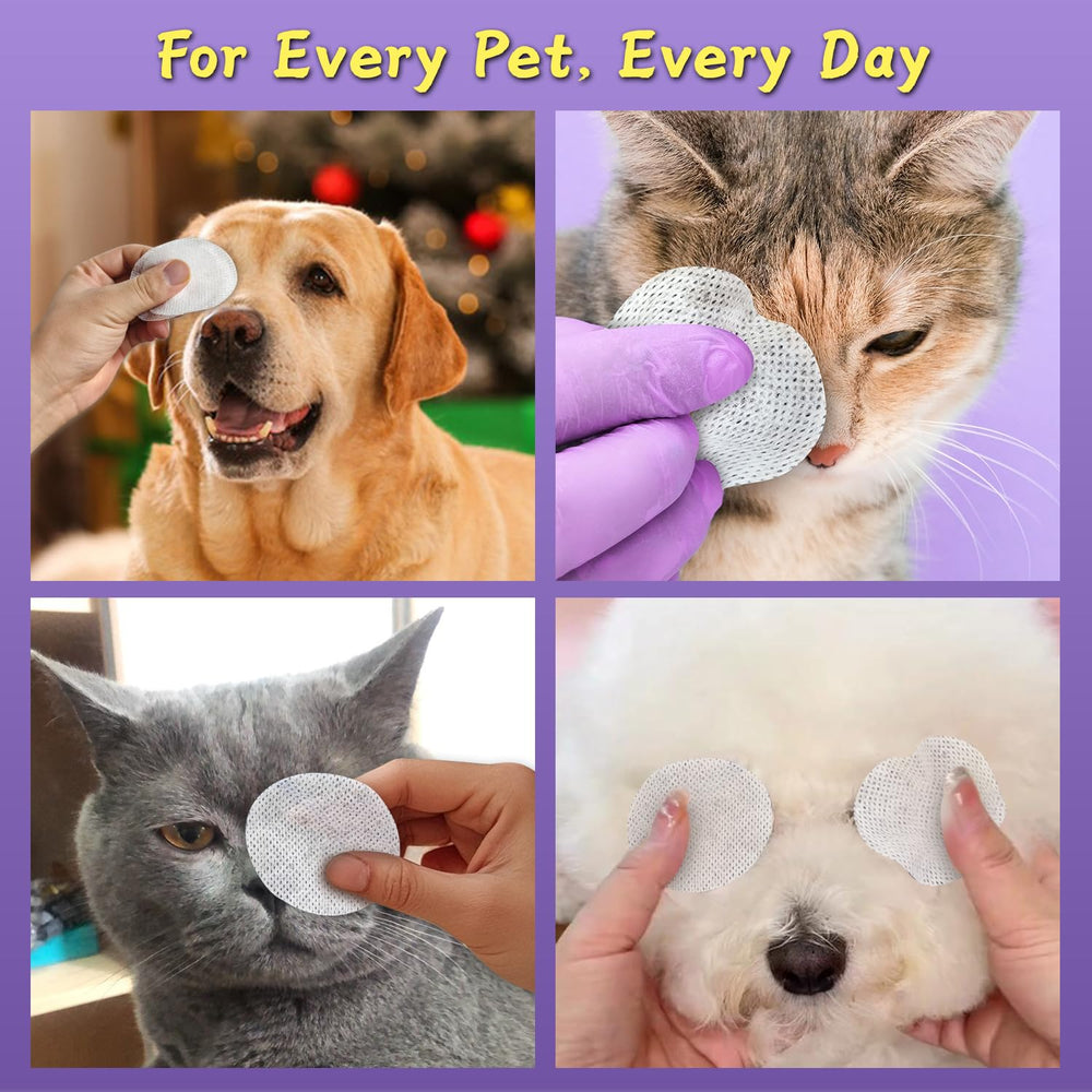PawBubble: uso diario fácil para ojos sanos y confort