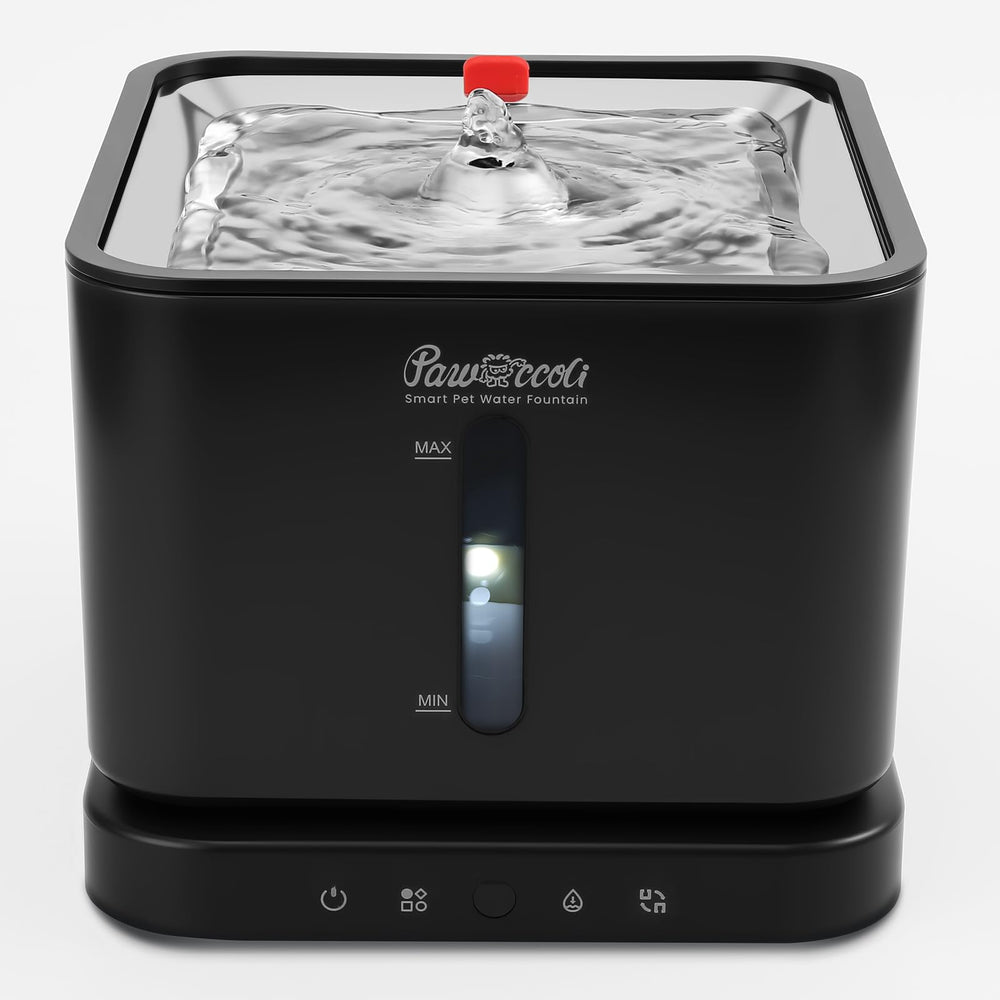 Pawccoli bebedero gato cordless, servicio al cliente confiable de Pawccoli para consultas.