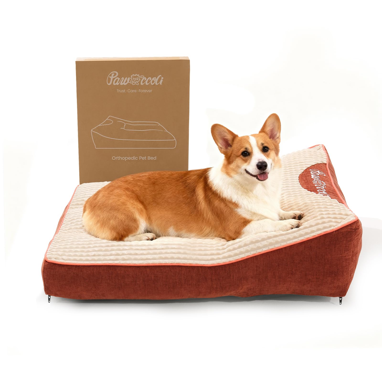 Cama ortopédica Pawccoli para perros pequeños, apoyo suave para articulaciones durante el descanso.