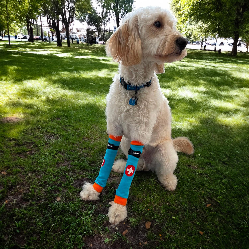 PawFlex Comfy Pawz: sensación suave que protege piel sensible