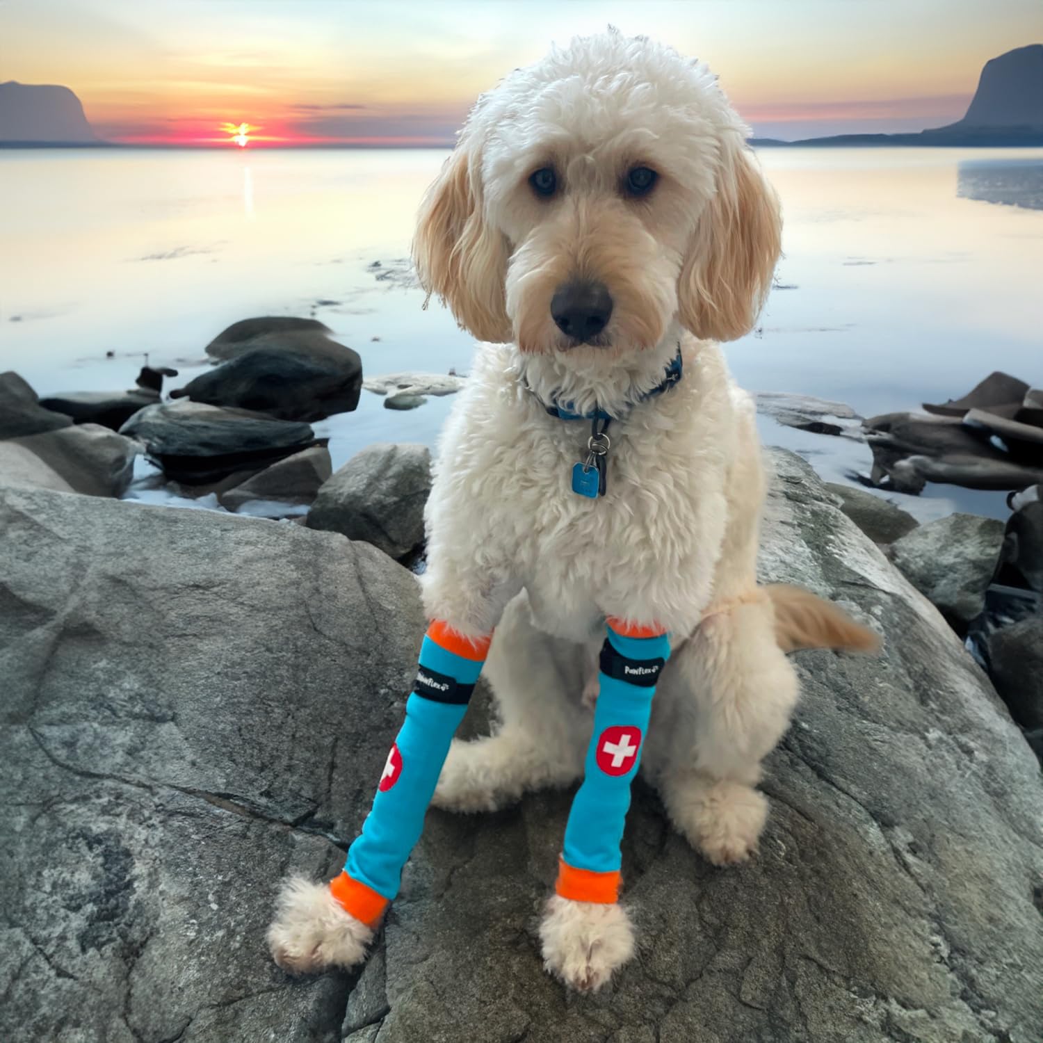 PawFlex Comfy Pawz: tejido extensible para mayor comodidad durante caminatas