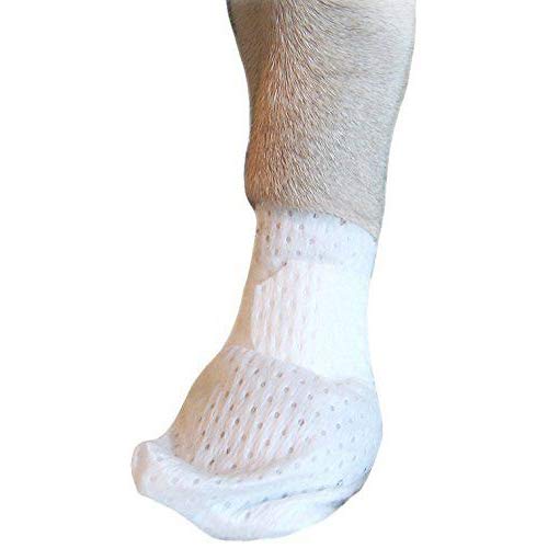 PawFlex Medimitt banda-pata-perro, soporte cómodo y seguro para la pata de tu perro.