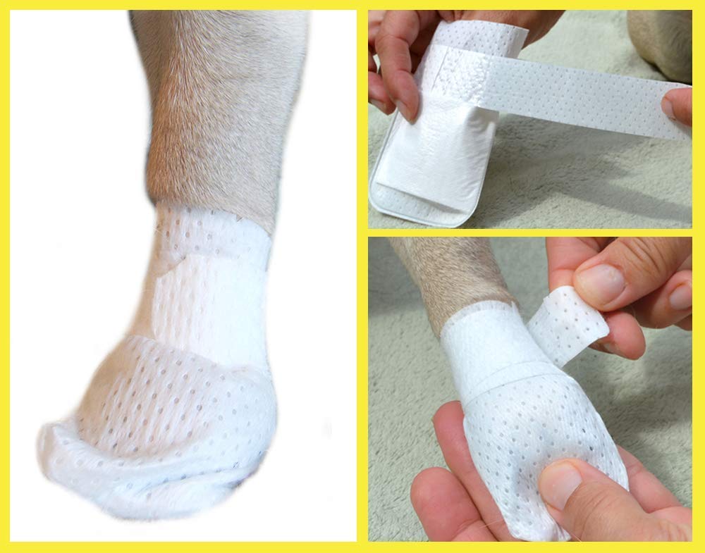 PawFlex Medimitt: uso en interiores sin molestias.