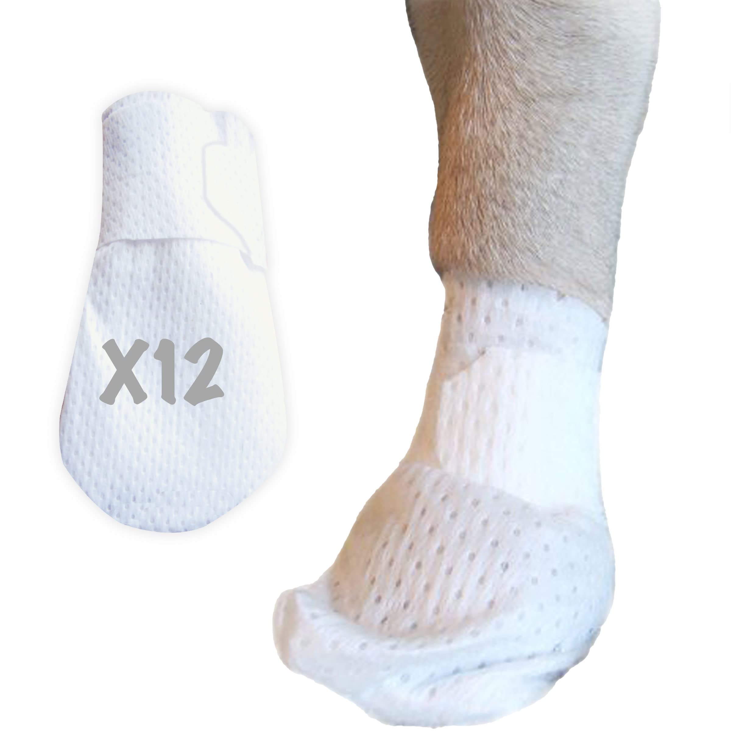 PawFlex Medimitt vendaje de pata ajustable para mascotas.