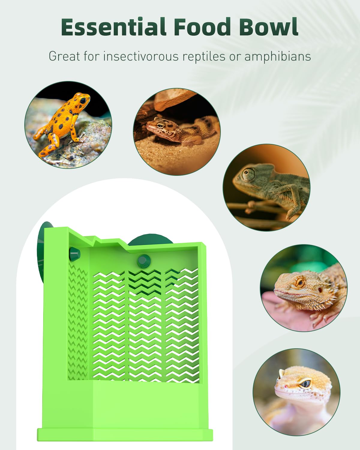 Pawfly alimentador para reptiles en pared con ventosas, fijación estable y fácil de limpiar.