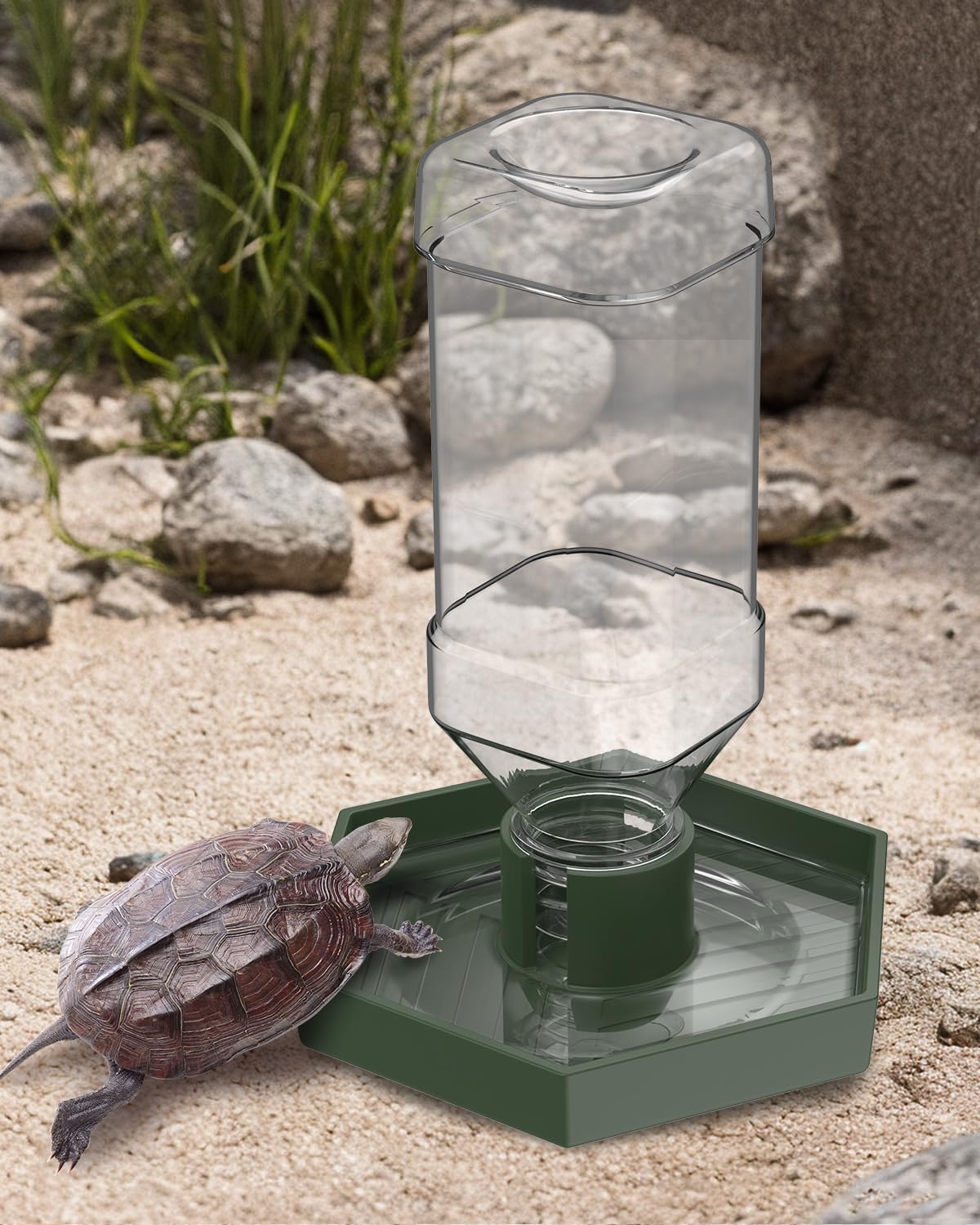 Pawfly bebeder automatico tortuga pequena: ideal para terrarios compactos.