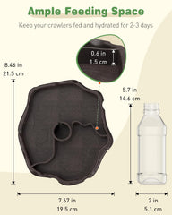 Pawfly bebedero para tortugas con botella invertida para agua limpia.