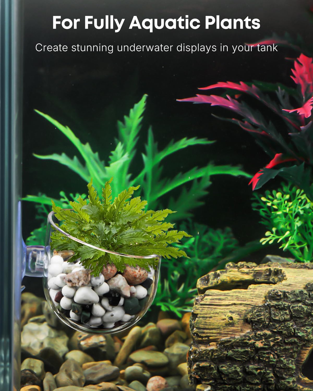 Pawfly, mejora la circulación de agua alrededor de las raíces de las plantas.
