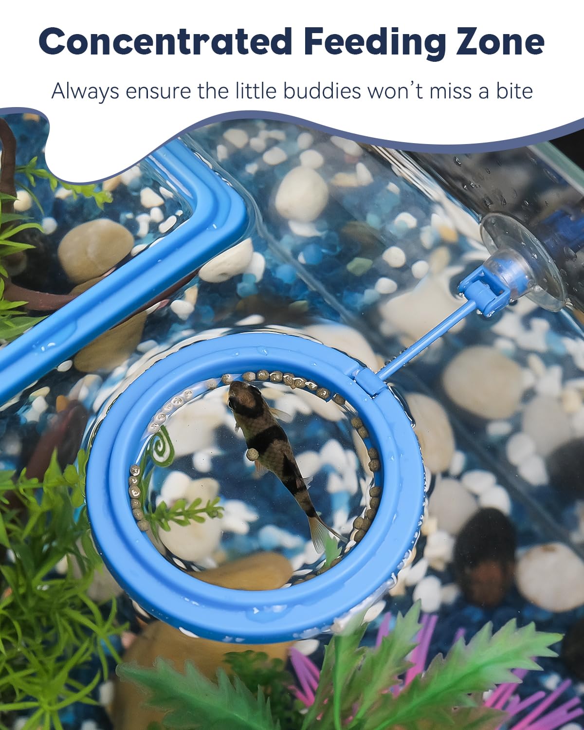 Pawfly juego de anillos para acuario de varios tamaños