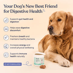 Pawfy Probióticos para diarrea canina y equilibrio del intestino.