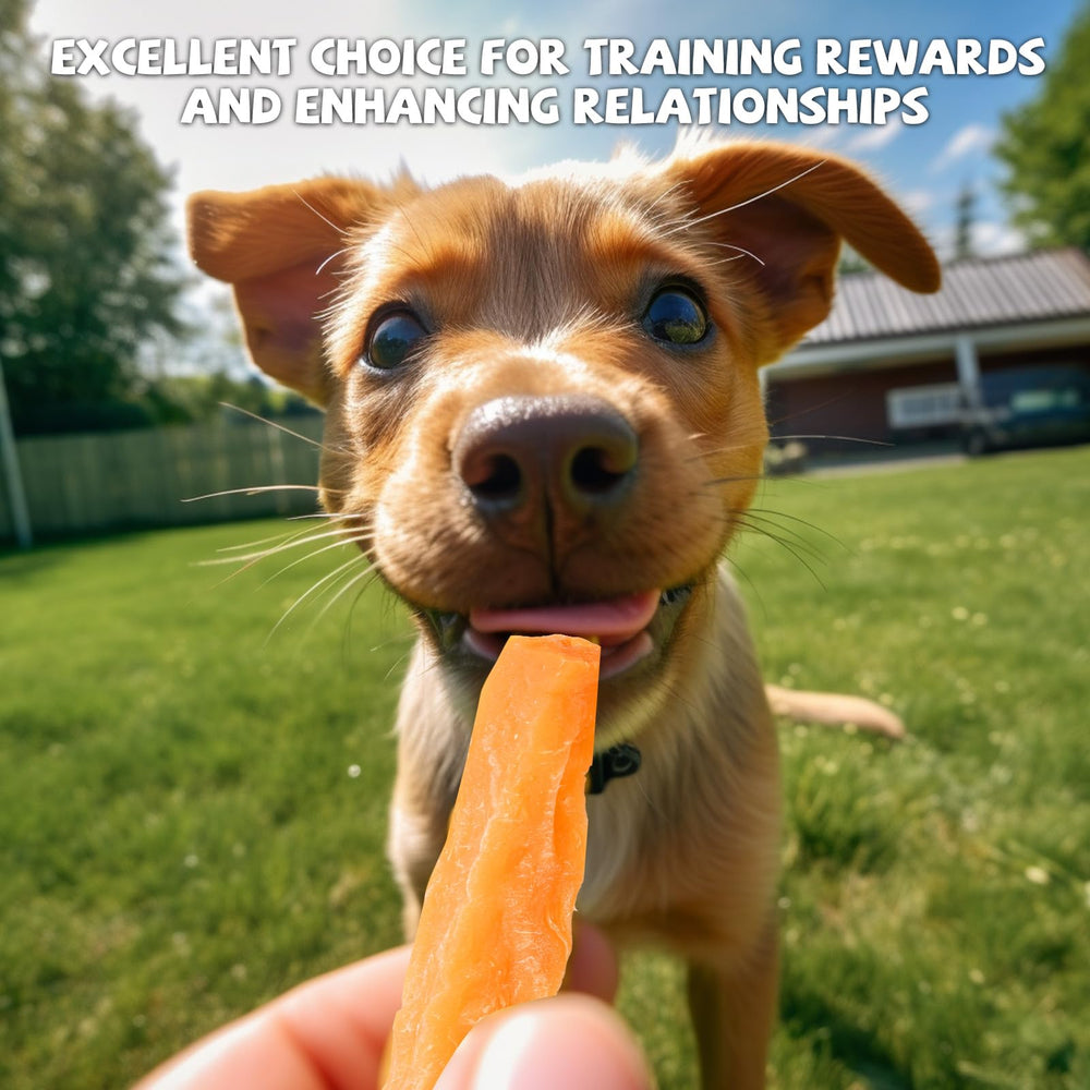 Nutrientes de batata dulce en Pawmate para perros, apoyo nutricional diario