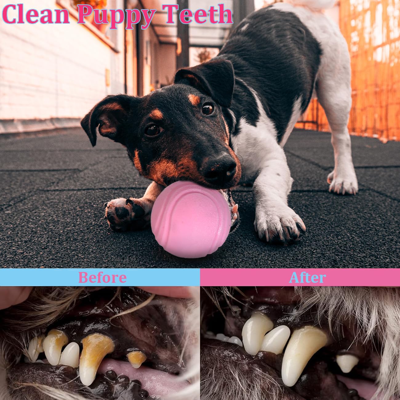 PawsAion juguete cepillo dental rosado para limpieza suave y masticación.