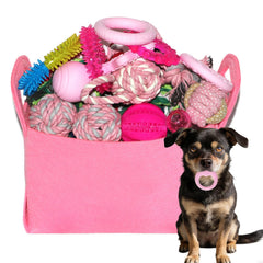 PawsAion conjunto de juguetes rosados para cachorros, ideal para masticar y jugar.