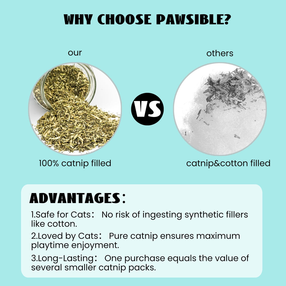 Pawsible cactus con menta orgánica, ideal para masticación suave y juego.