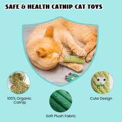 Pawsible juguete cactus interactivo para jugar junto a su humano.