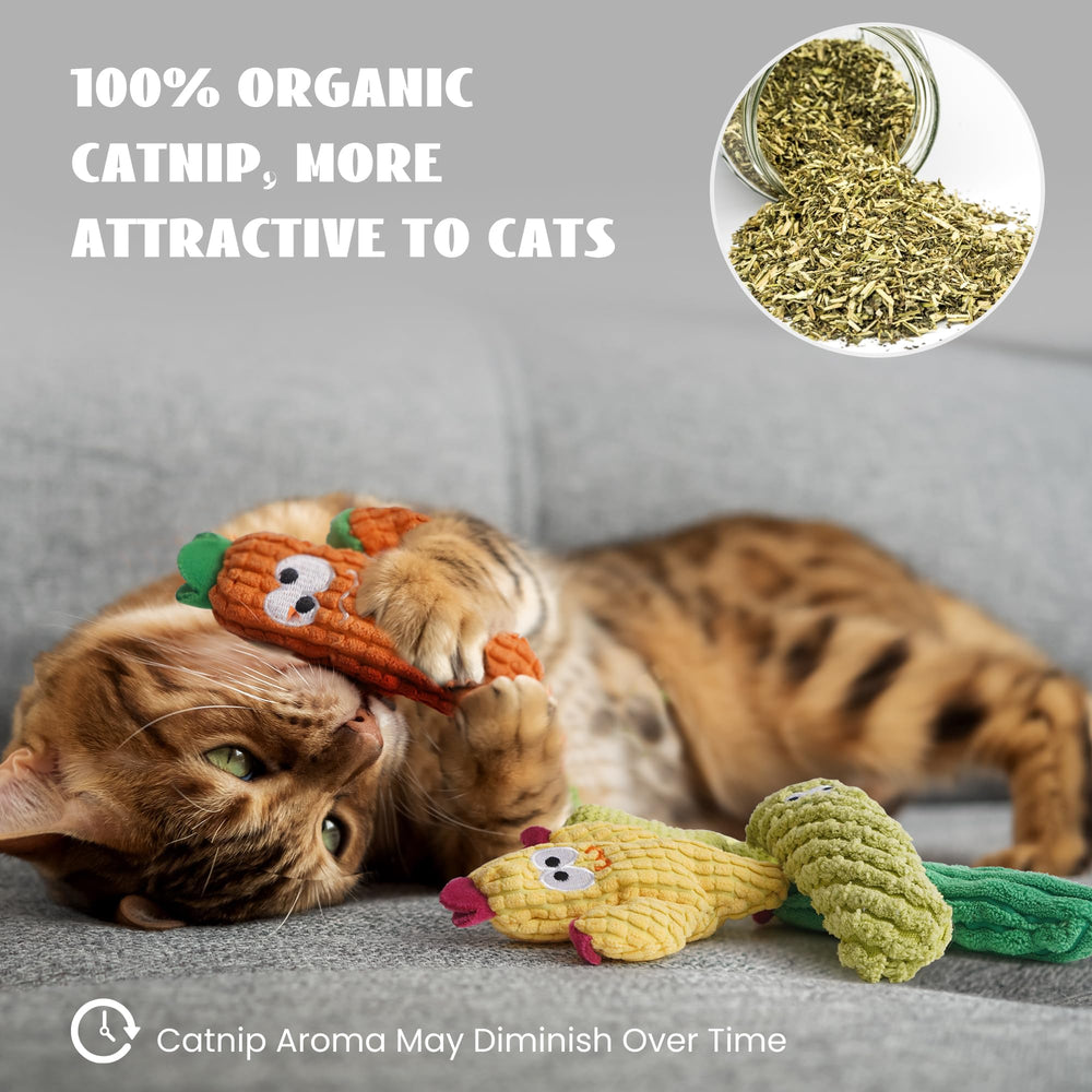 Pawsible cactus teether para dentición suave durante el juego.