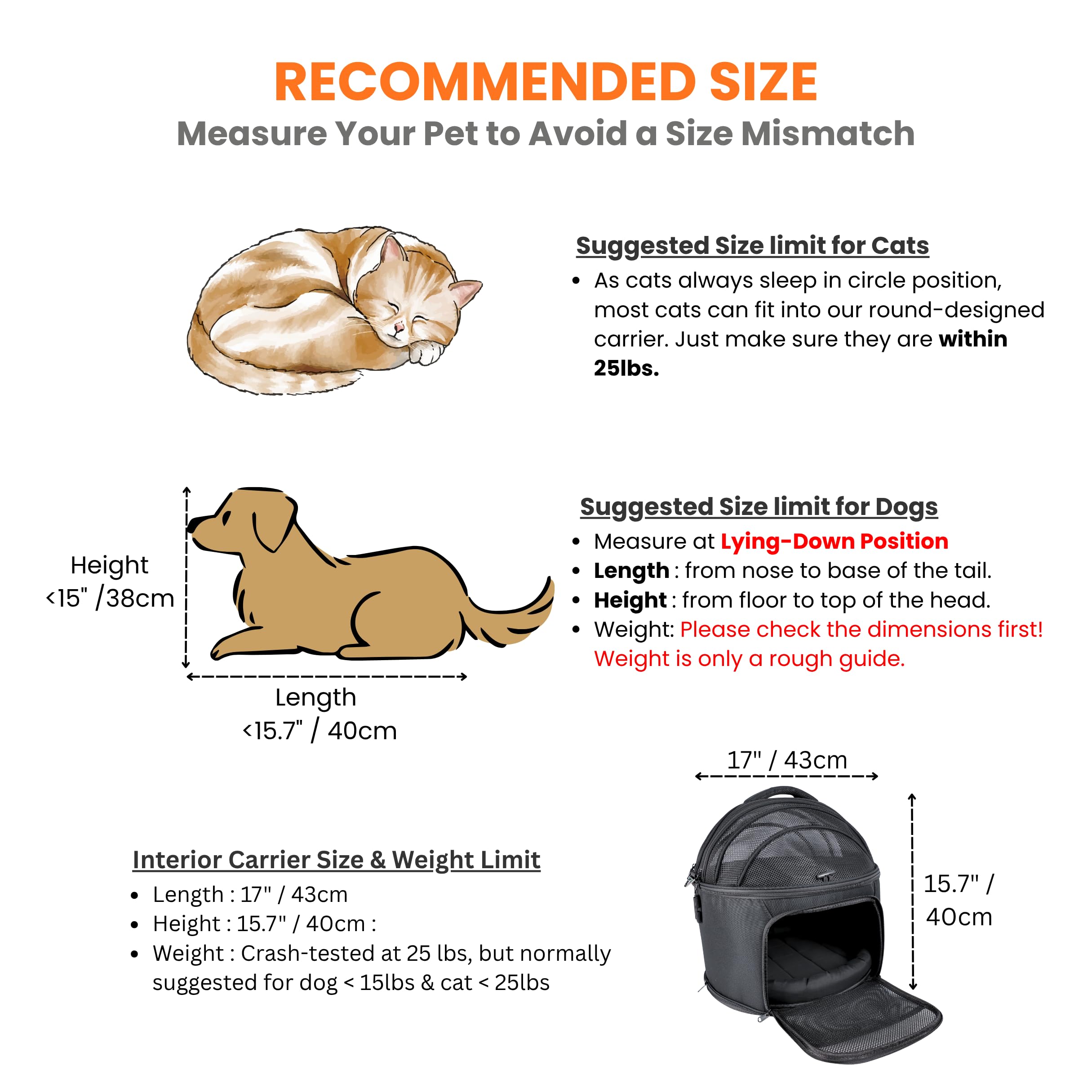 PawsInCar: montaje rápido y seguro para gatos y perros pequeños en coche