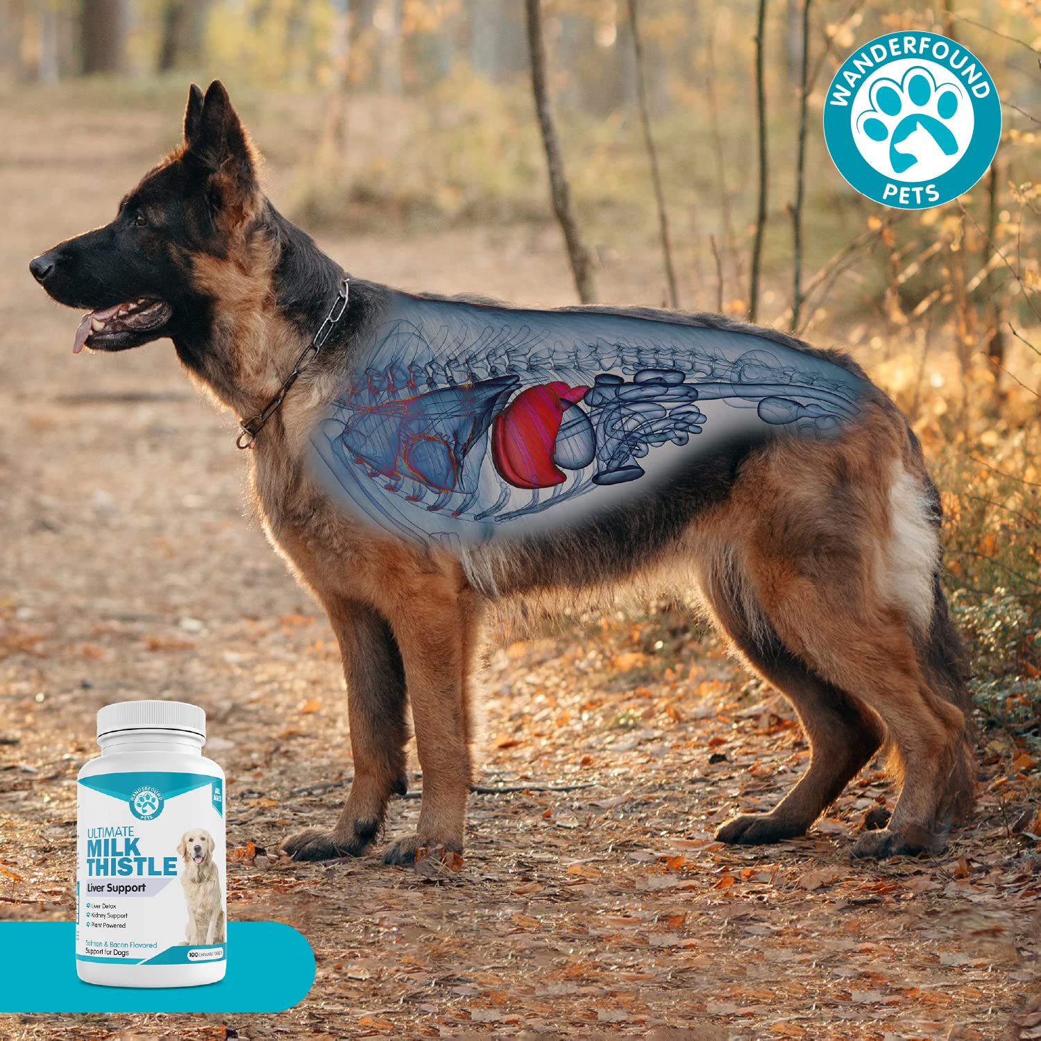 Pawsitive Wanderfound Pets Milk Thistle: perro saludable gracias a una fórmula natural.