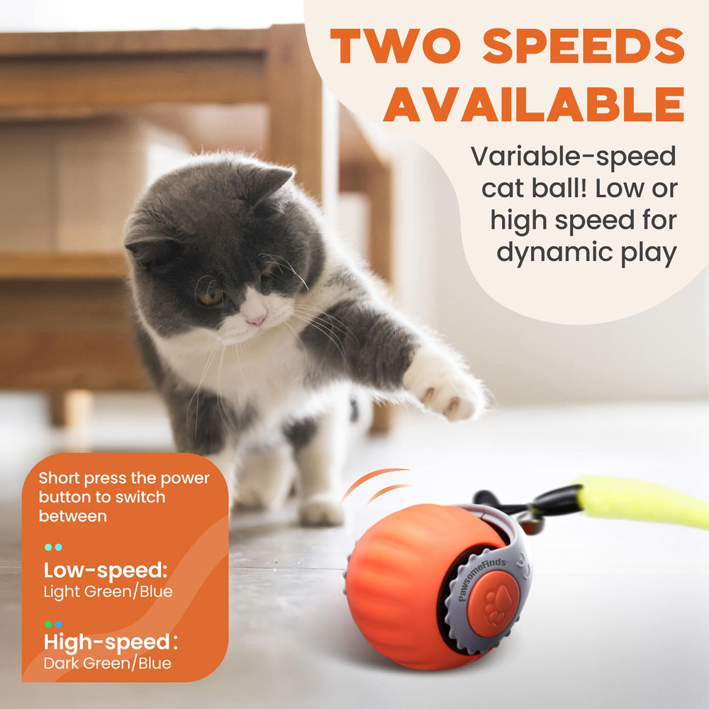 PawsomeFinds modos de juego inteligentes y normales para gatos