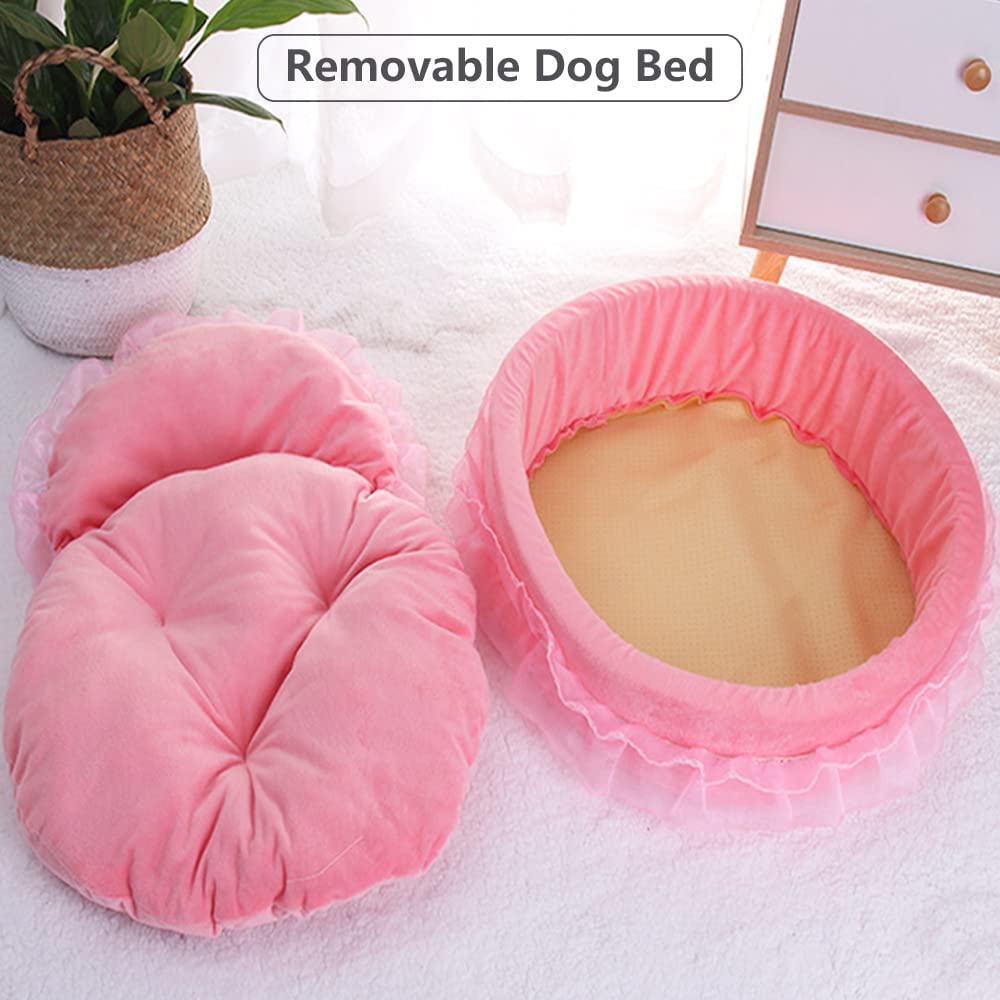 Uso recomendado para gatos y perros pequeños o medianos.