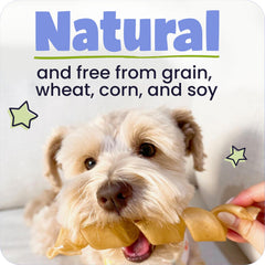 Gros plan sur texture interne des bâtons Pawstruck pour chiens.
