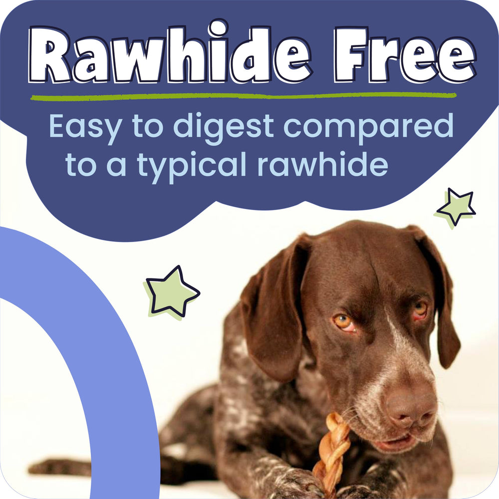 Pawstruck Bully Bites dents et haleine, aide potentielle à la propreté bucco-dentaire