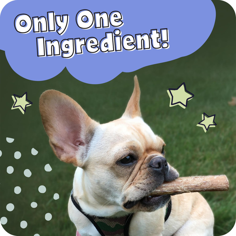 Pawstruck Bully Sticks ideal para entrenamiento y enriquecimiento mental