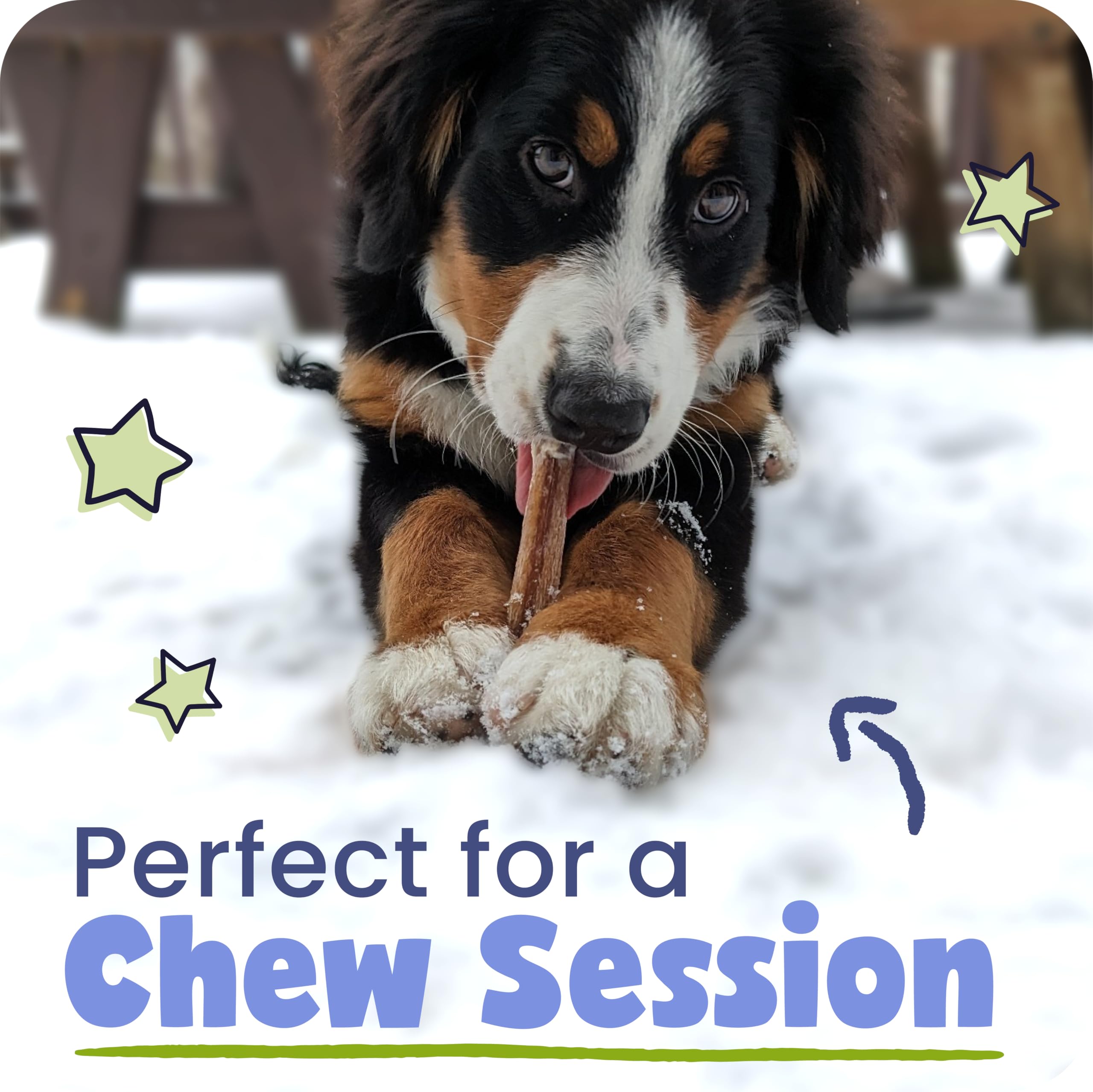Pawstruck Bully Sticks, sin aditivos, opción de masticación saludable