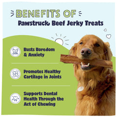 Pawstruck tira carne seca para perros, snack natural sin conservantes