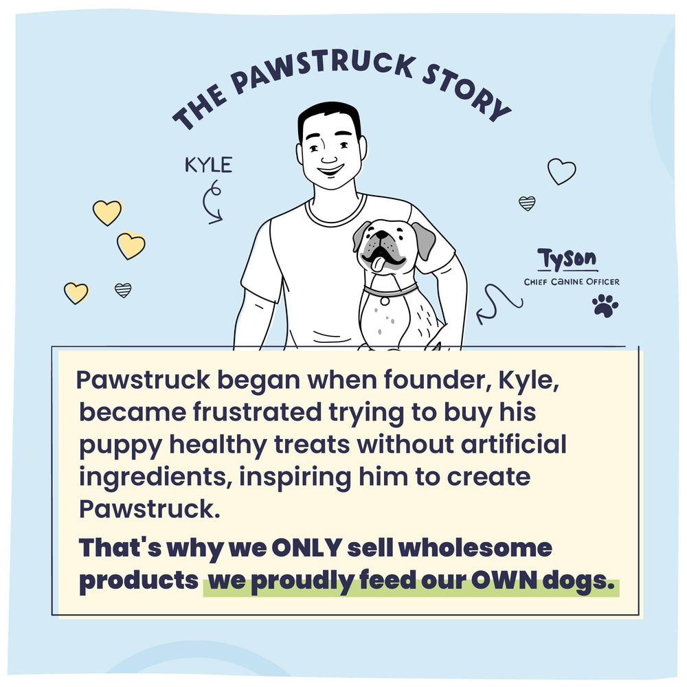 Pawstruck uso diario: ideal para paseos y juegos